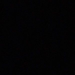 Meet your Posher, Audrey